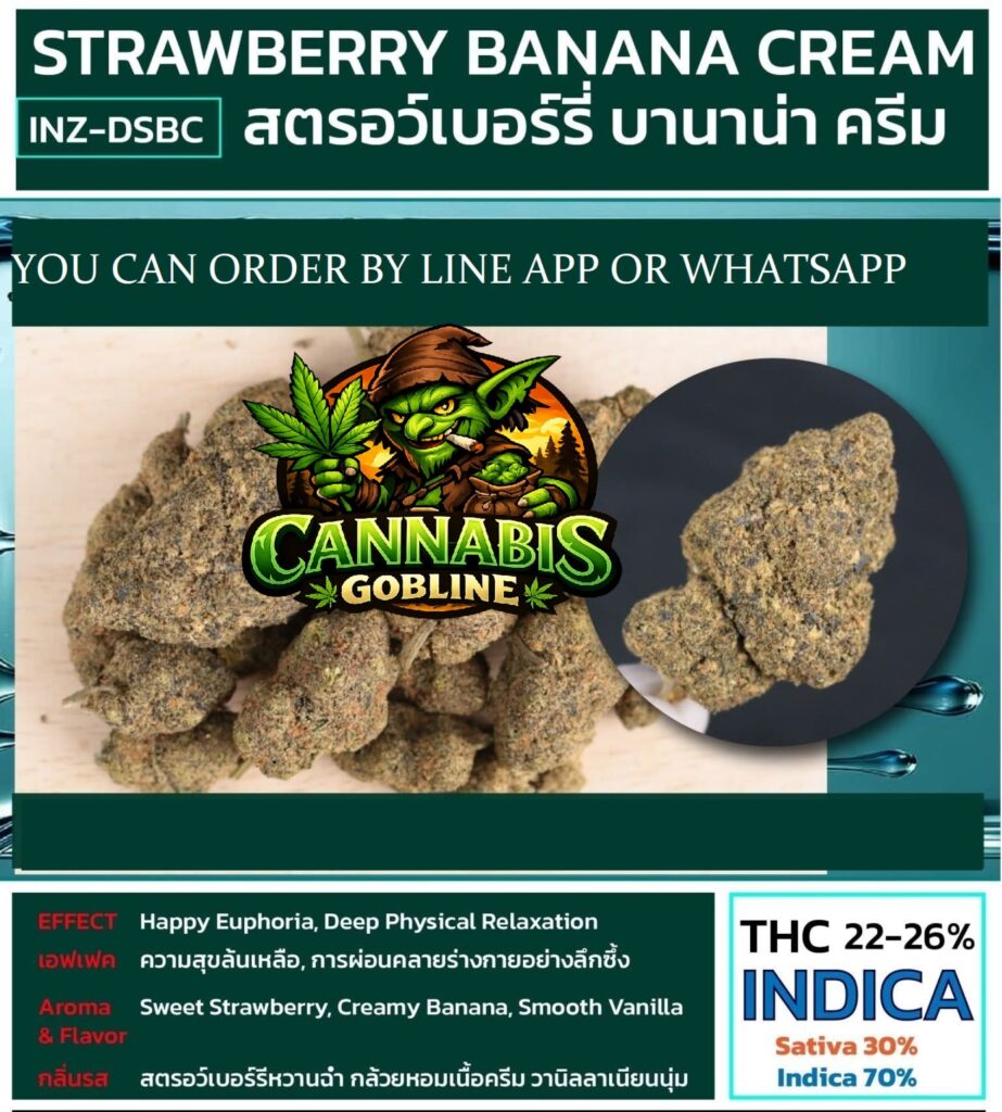 facebook creation 4398555300355806 copy