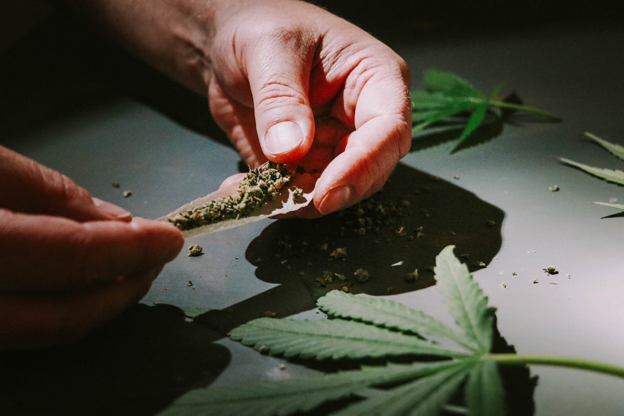 Detailed close-up of hands rolling a cannabis joint with marijuana leaves scattered around.