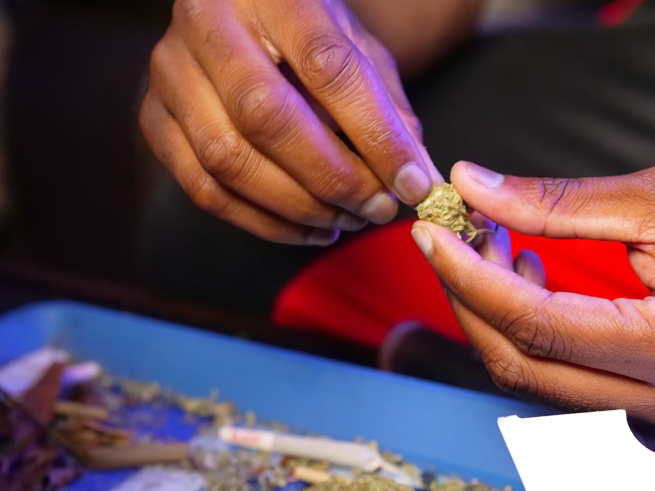 Detailed view of hands preparing cannabis with a grinder on a tray.