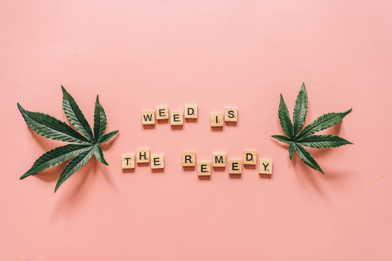 Cannabis leaves and the message 'Weed is the Remedy' arranged on a pink background.